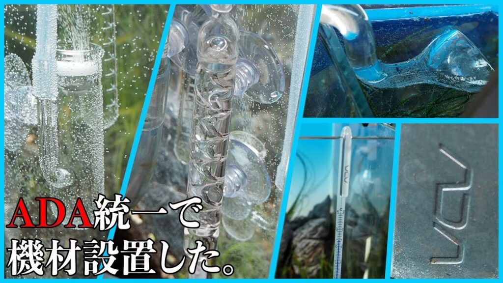 60cmADA-aquadesignamano-aquarium-