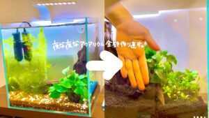 Complete-reset-for-the-first-time-as-beginners