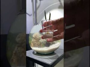 INNOVATE-AQUARIUM-AWARDby-