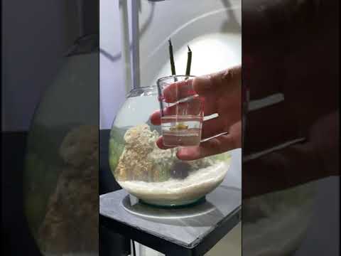 INNOVATE-AQUARIUM-AWARDby-