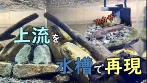 Vol.6