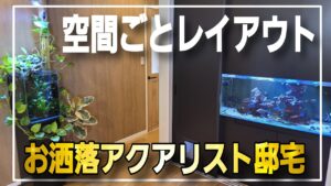 aquarium