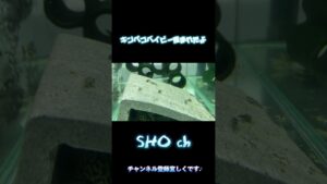 aquarium-l236-