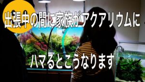 unnamed-file-18