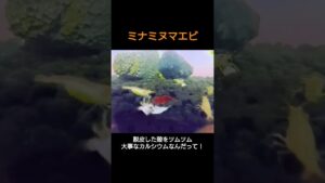unnamed-file-27