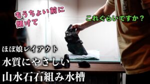 60cm-8