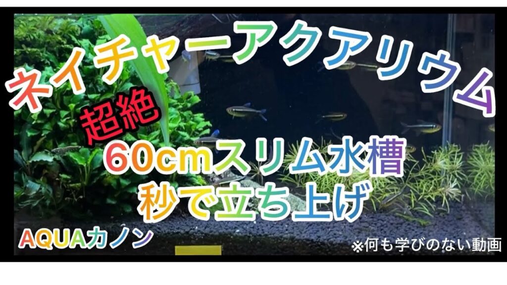AQUACO2_