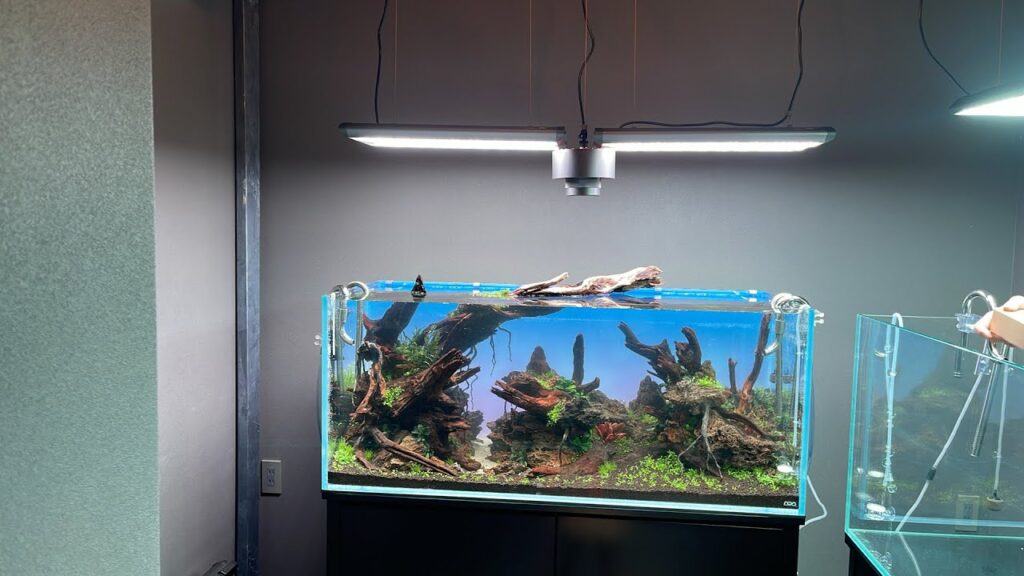 1200in