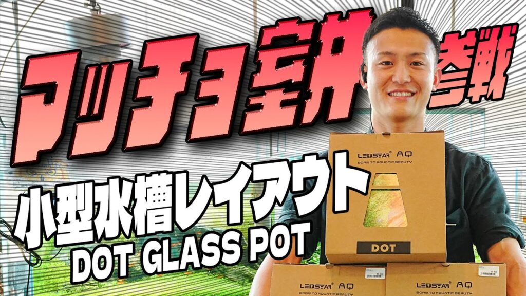 LEDSTAR-DOT-GLASS-POT