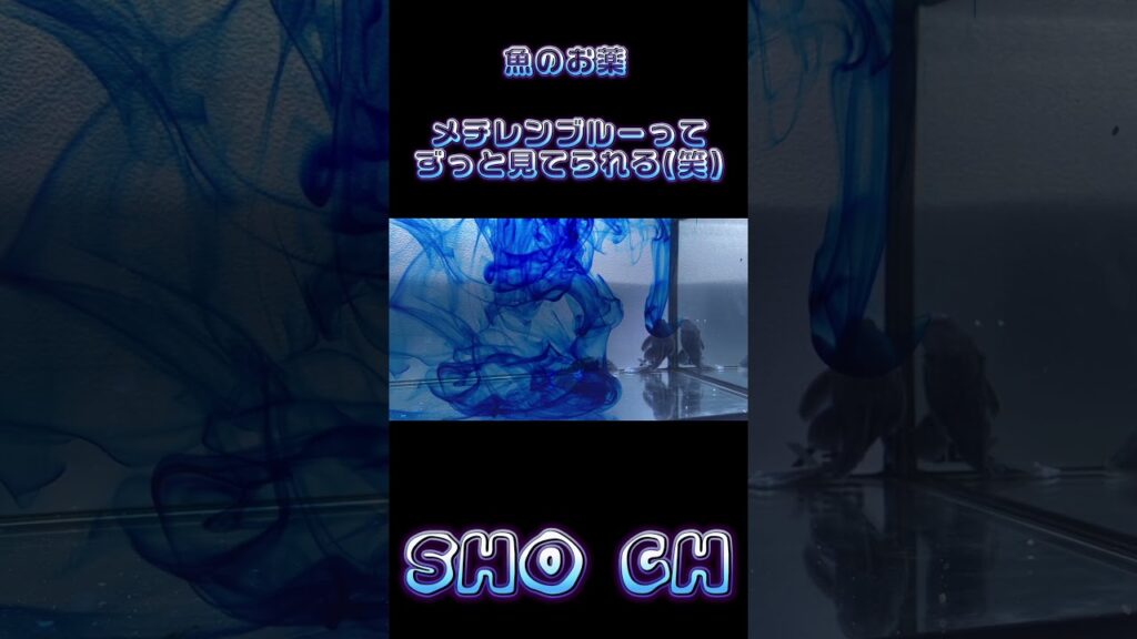 unnamed-file-11