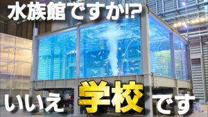 unnamed-file-5