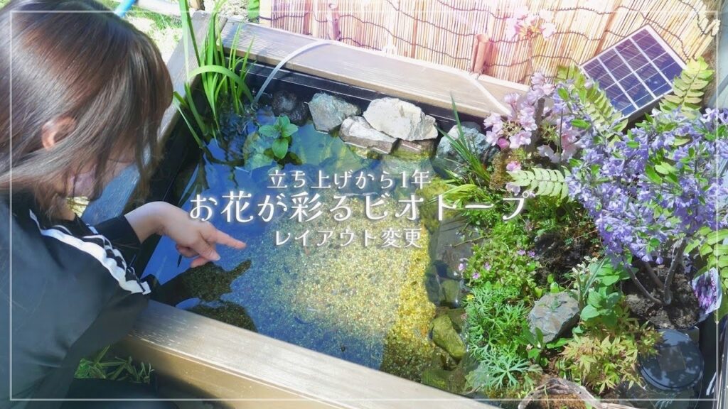 1-Aquarium.