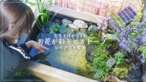 1-Aquarium.