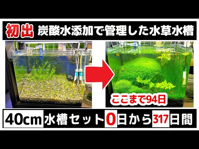 CO240cm1