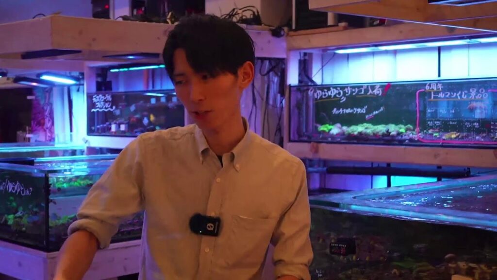 unnamed-file-14