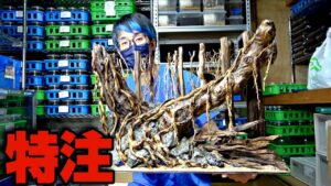 unnamed-file-5