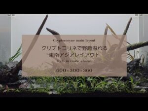 unnamed-file-7