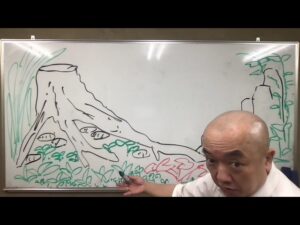 594-