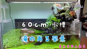60cm-1