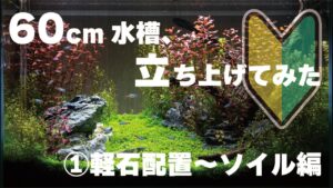 60cm