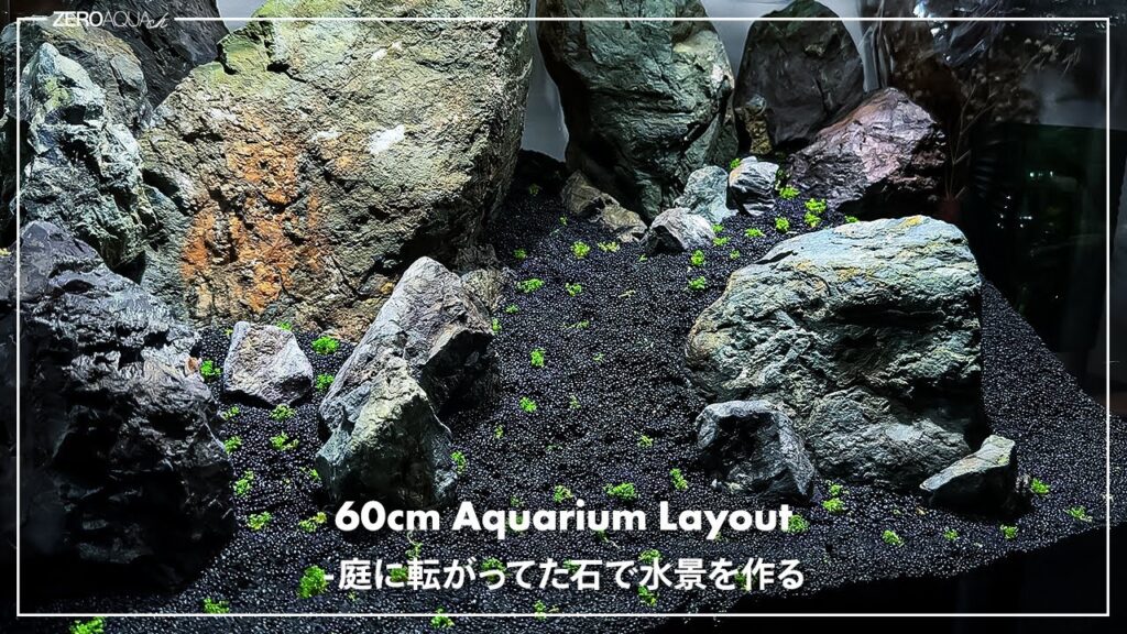 60cmaquascapeaquarium60cm-tankvlog