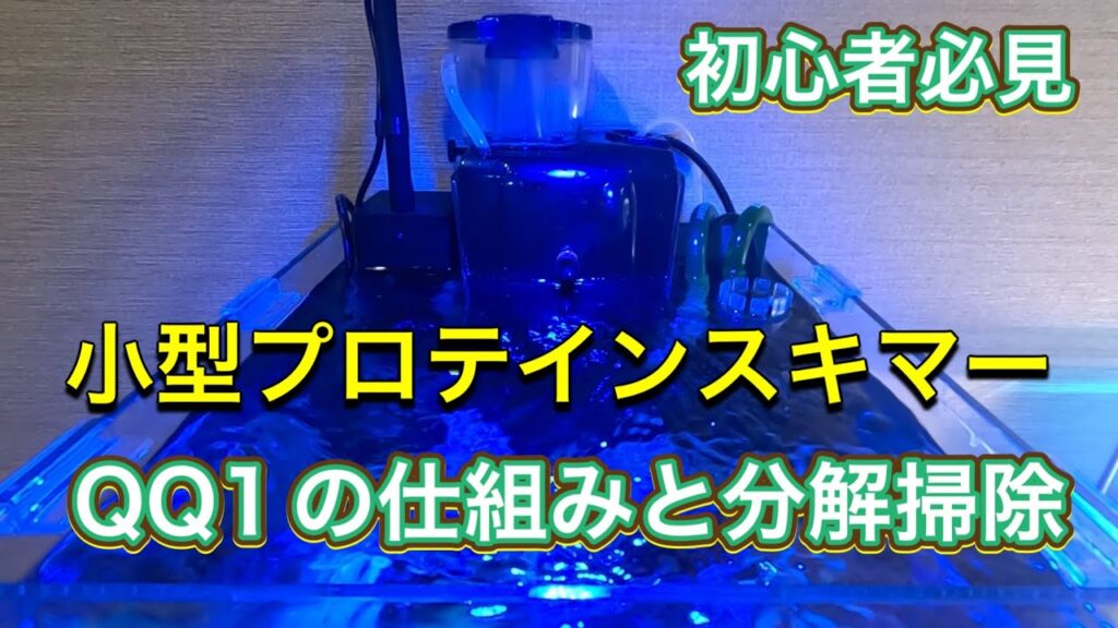 QQ1