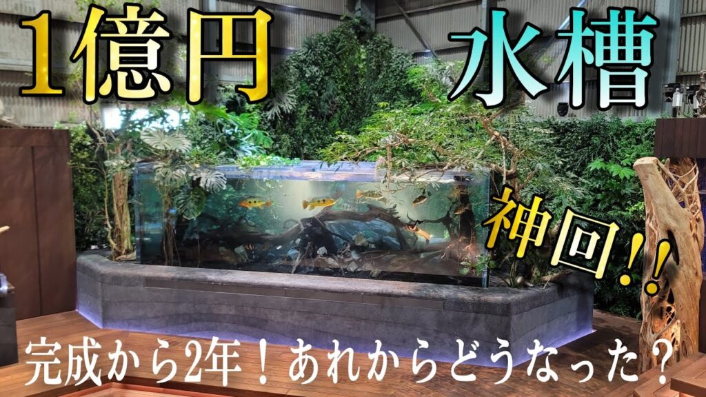 aquarium