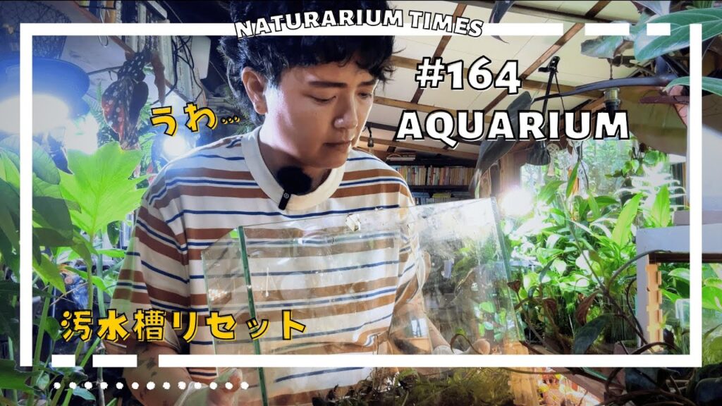 naturariumtimes