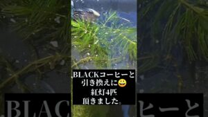 shortsshortsshortsshortsshortsshortsXJAPAN