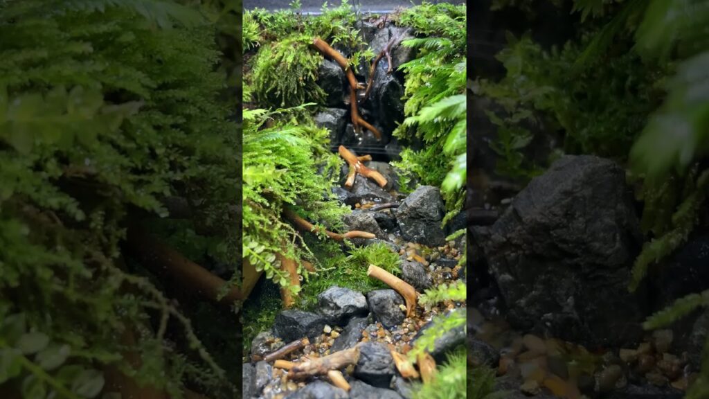 151515cm-terrarium-aquarium-garden-moss-nature-craft