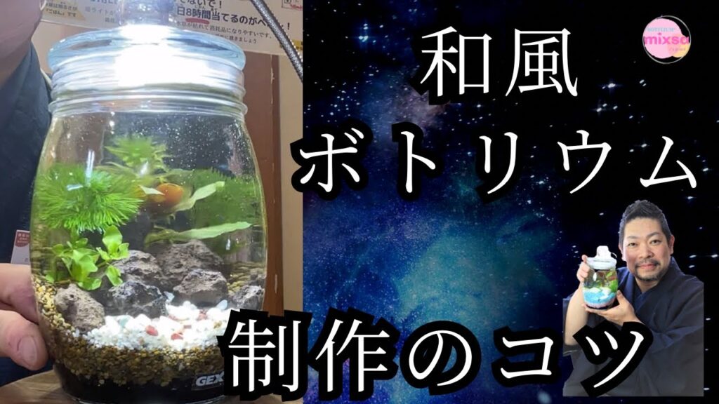 1aquascape