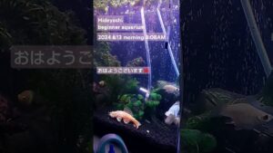 2024.6.13-morning-aquarium-
