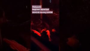 2024.6.19morning-aquarium-