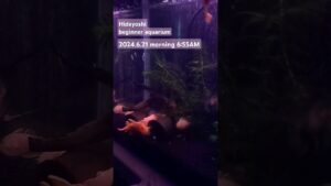 2024.6.21morning-aquarium-