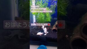2024.6.24morning-aquarium-