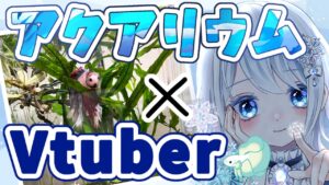 30-Vtuber-