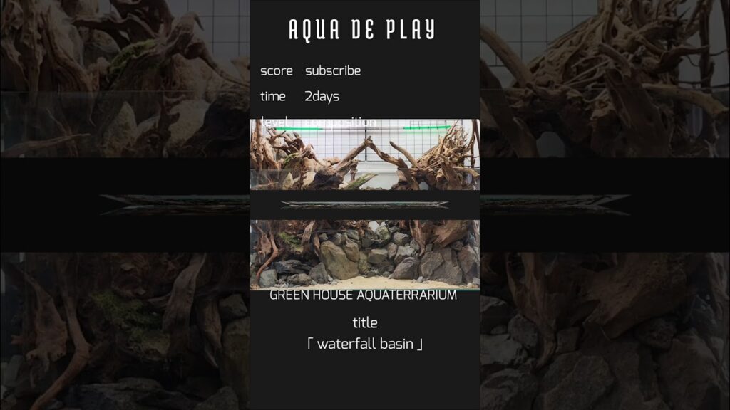AQUA-DE-PLAYaquarium-aquaterrariumtropicalfish