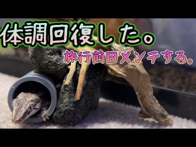 aquarium-animals-thanks-