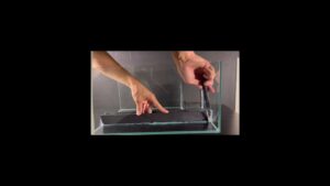 aquascape-bonsai-aquarium-