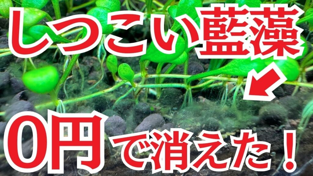 unnamed-file-1
