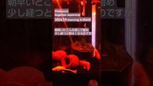 2024.7.9morning-aquarium-