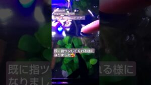 aquarium-1-1