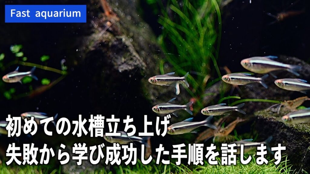 aquarium-1-4