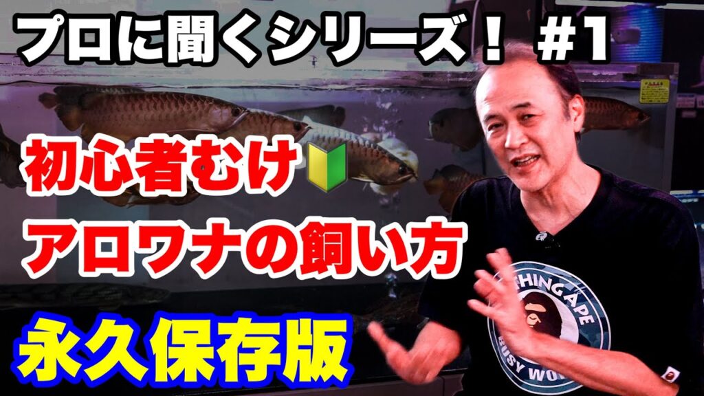 1-aquarium-