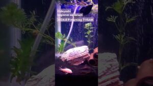 2024.8.9morning-aquarium-