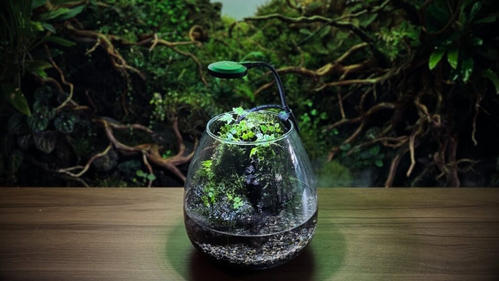 4terrarium-