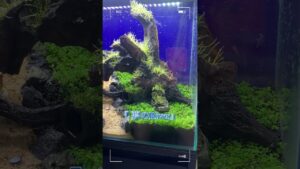 Riveraquarium-60-
