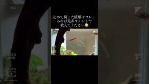 unnamed-file-3