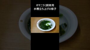 unnamed-file-7