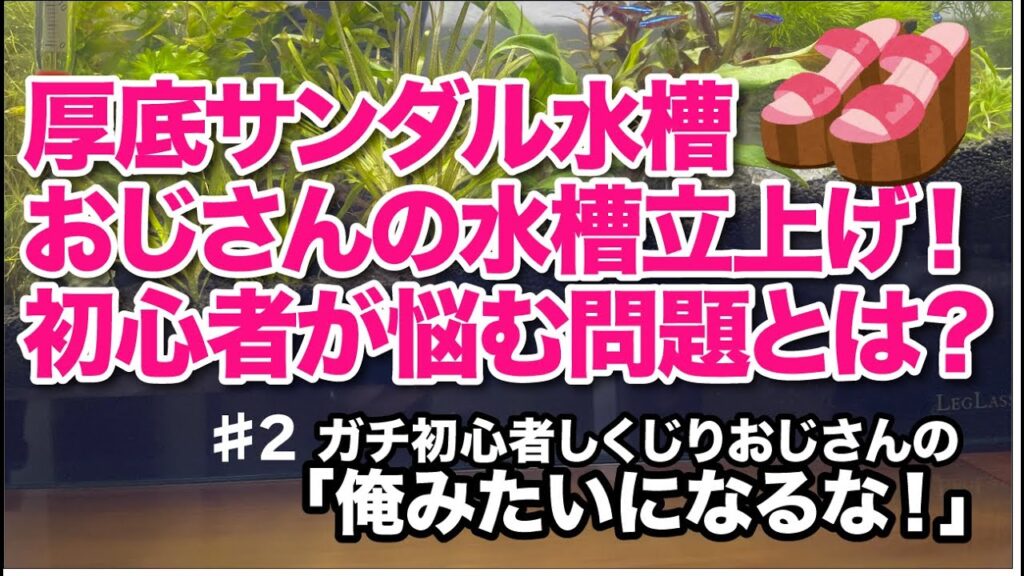 2-8